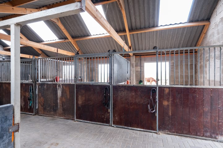 Photo 53 of Koebushorst 4