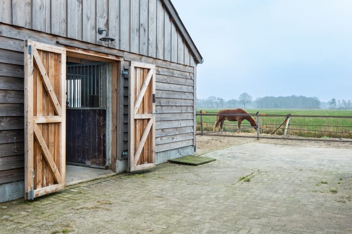 Photo 56 of Koebushorst 4