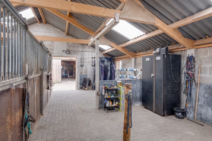 Photo 55 of Koebushorst 4