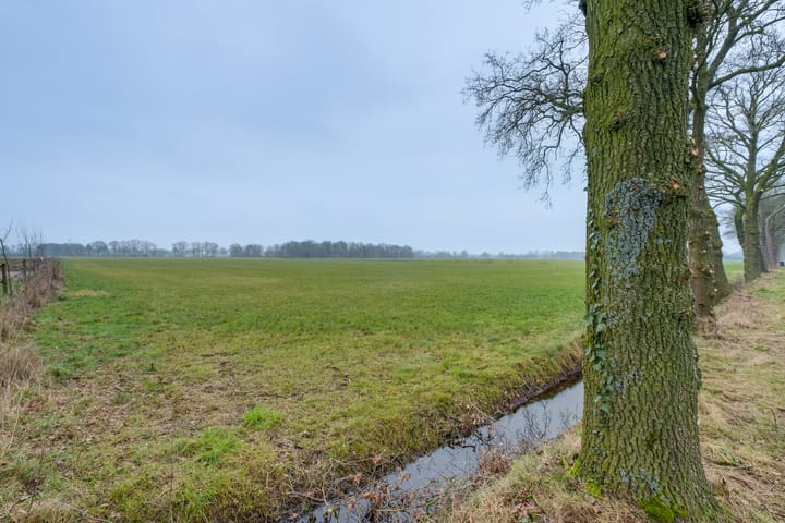 Photo 61 of Koebushorst 4