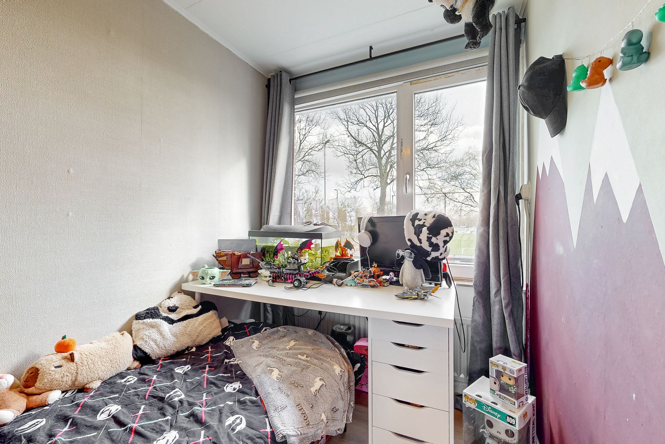 Foto 15 van Dibbitsstraat 15