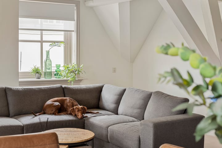 Foto 24 van Catharinastraat 18-D