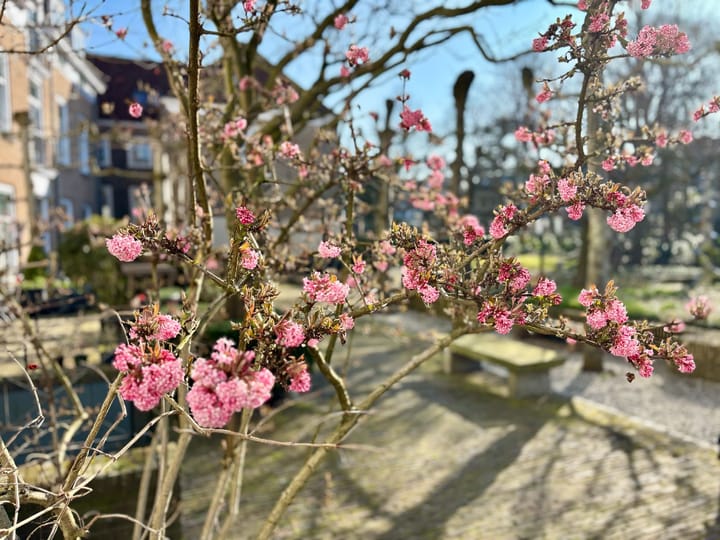 Foto 64 van Catharinastraat 18-D