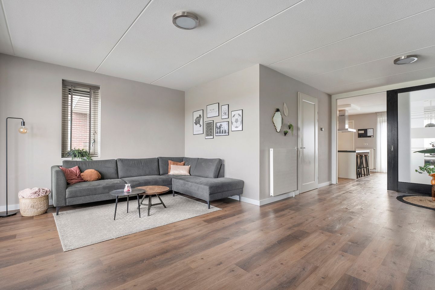 Foto 14 van Edelinckstraat 3