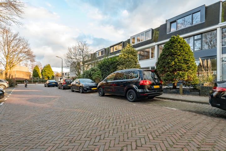 Foto 56 van Duivelandsezijweg 4