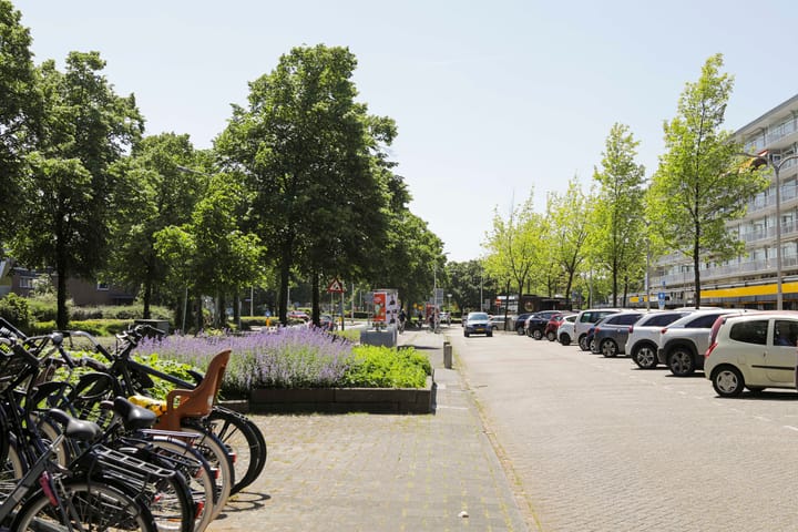 Foto 58 van Duivelandsezijweg 4