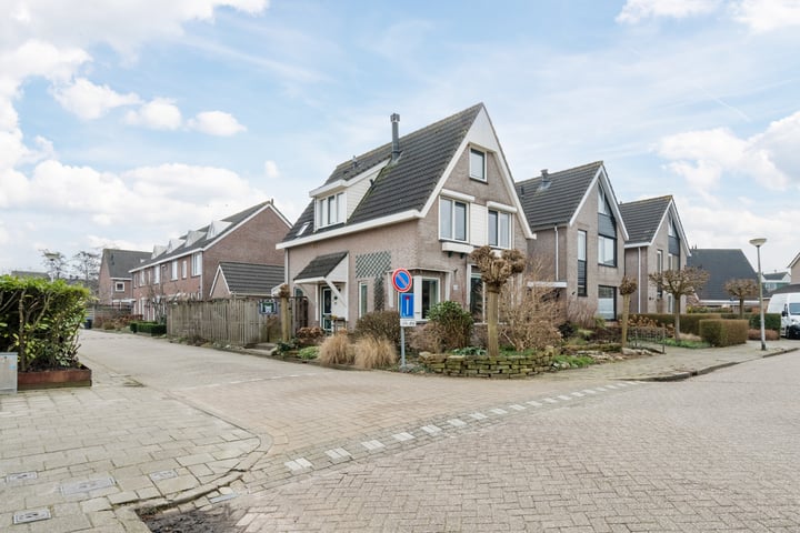 Bekijk foto van Zwenkgras 31
