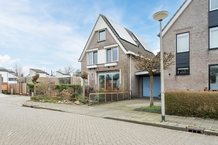 Foto 6 van Zwenkgras 31