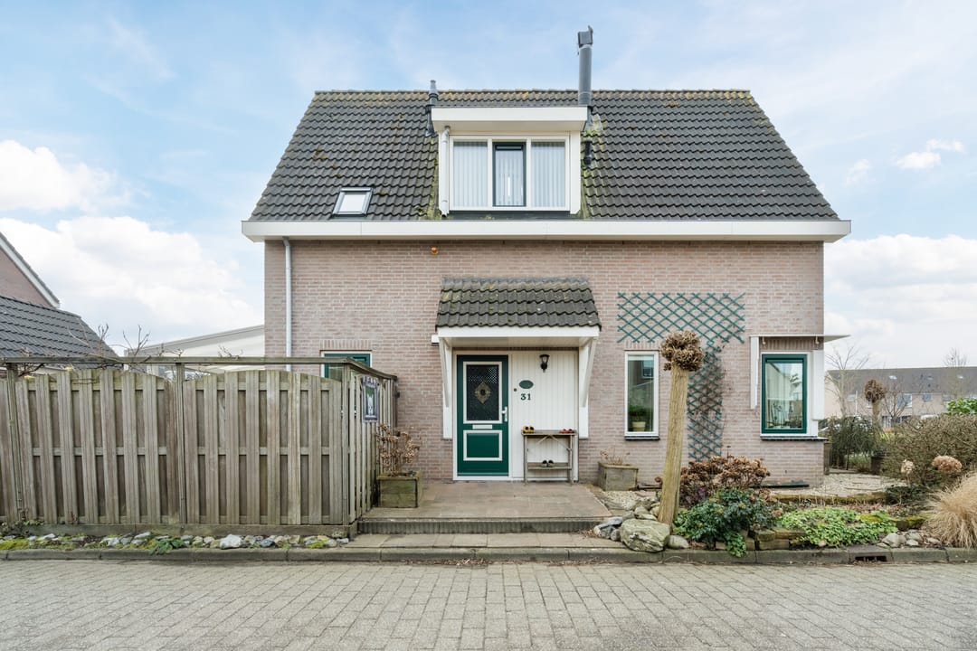 Photo 7 of Zwenkgras 31