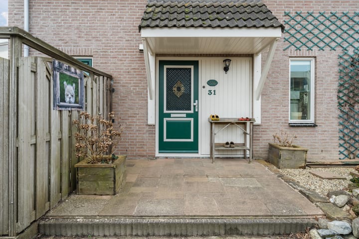 Foto 8 van Zwenkgras 31