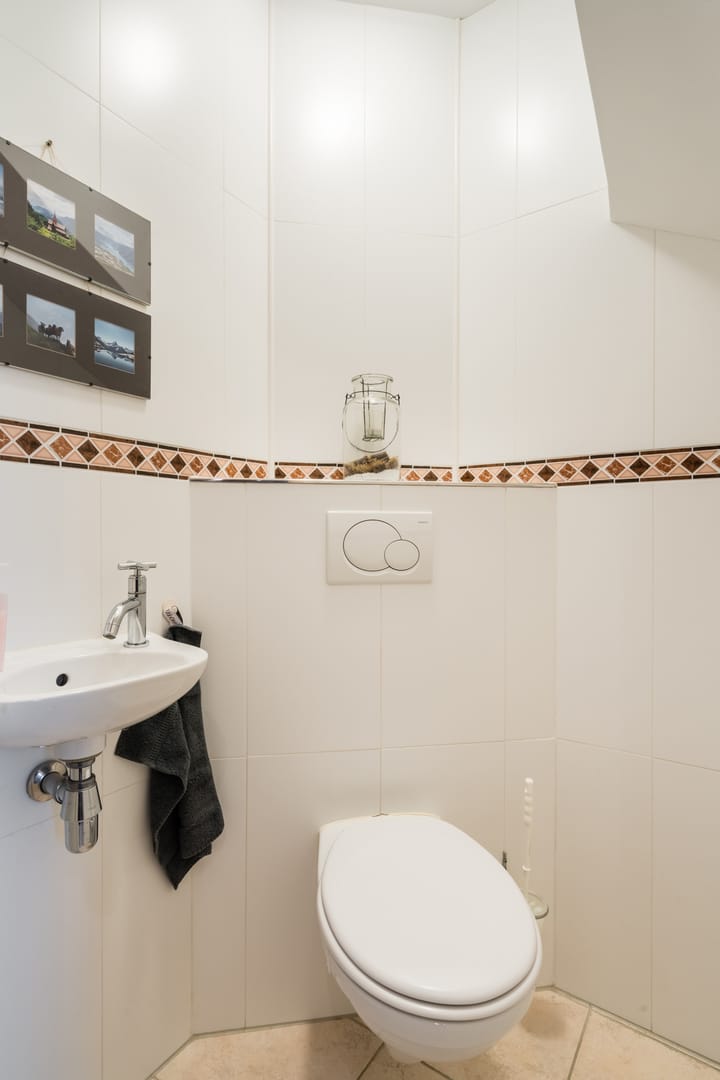 Foto 10 van Zwenkgras 31