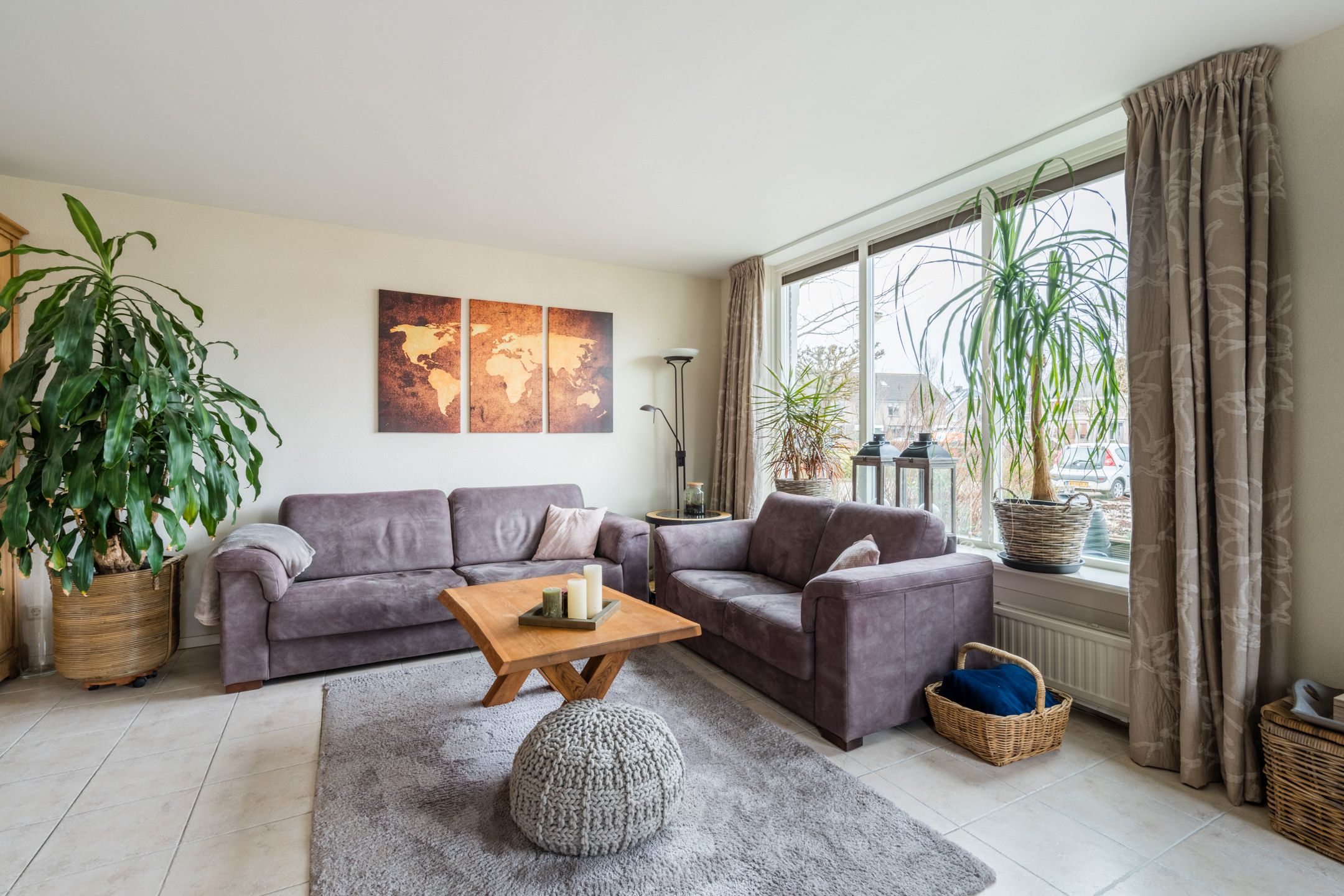 Photo 12 of Zwenkgras 31