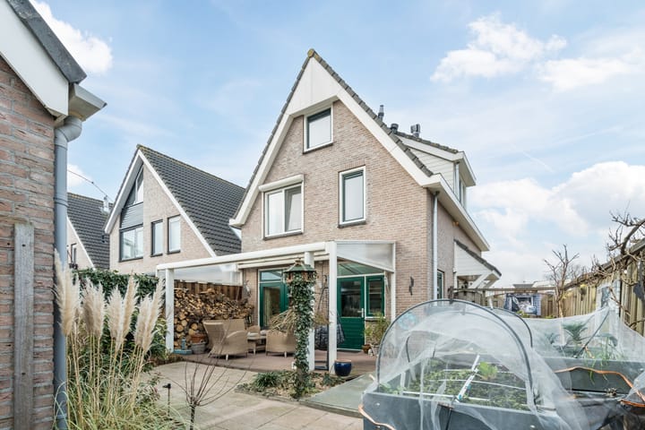 Foto 26 van Zwenkgras 31