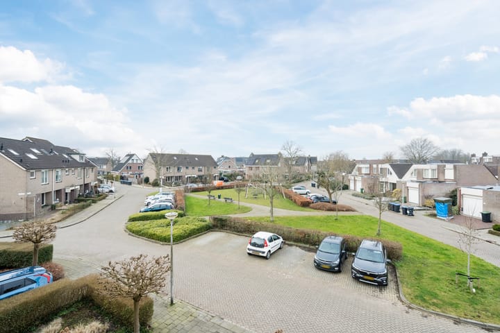 Foto 31 van Zwenkgras 31