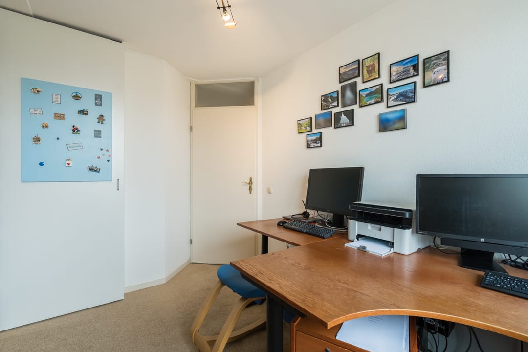 Photo 32 of Zwenkgras 31