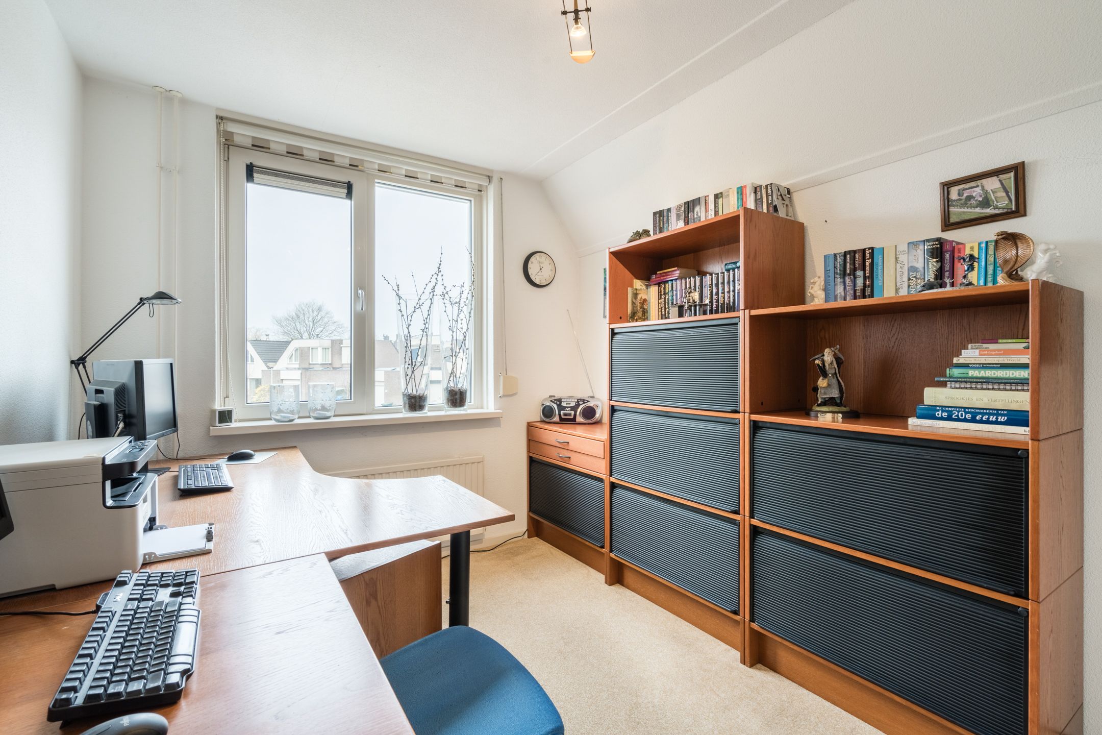 Photo 33 of Zwenkgras 31