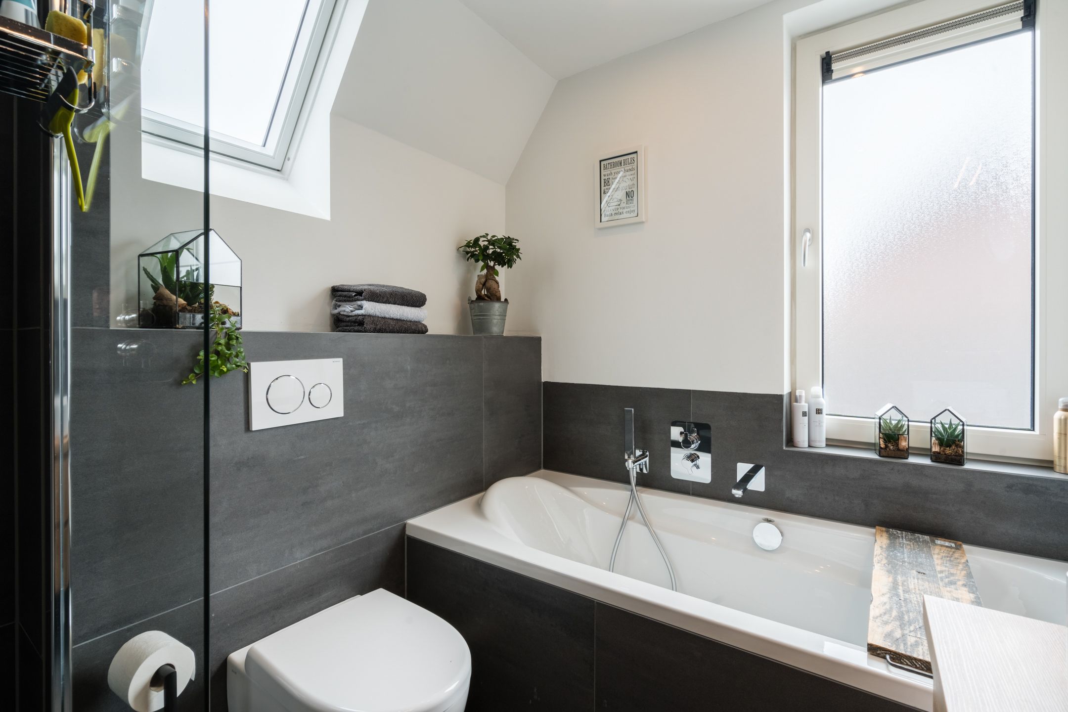 Photo 39 of Zwenkgras 31