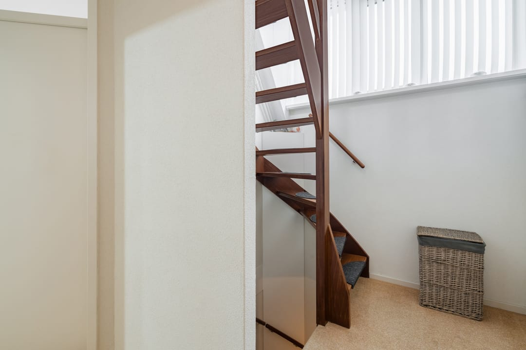 Photo 43 of Zwenkgras 31