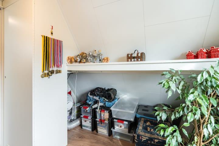 Foto 47 van Zwenkgras 31