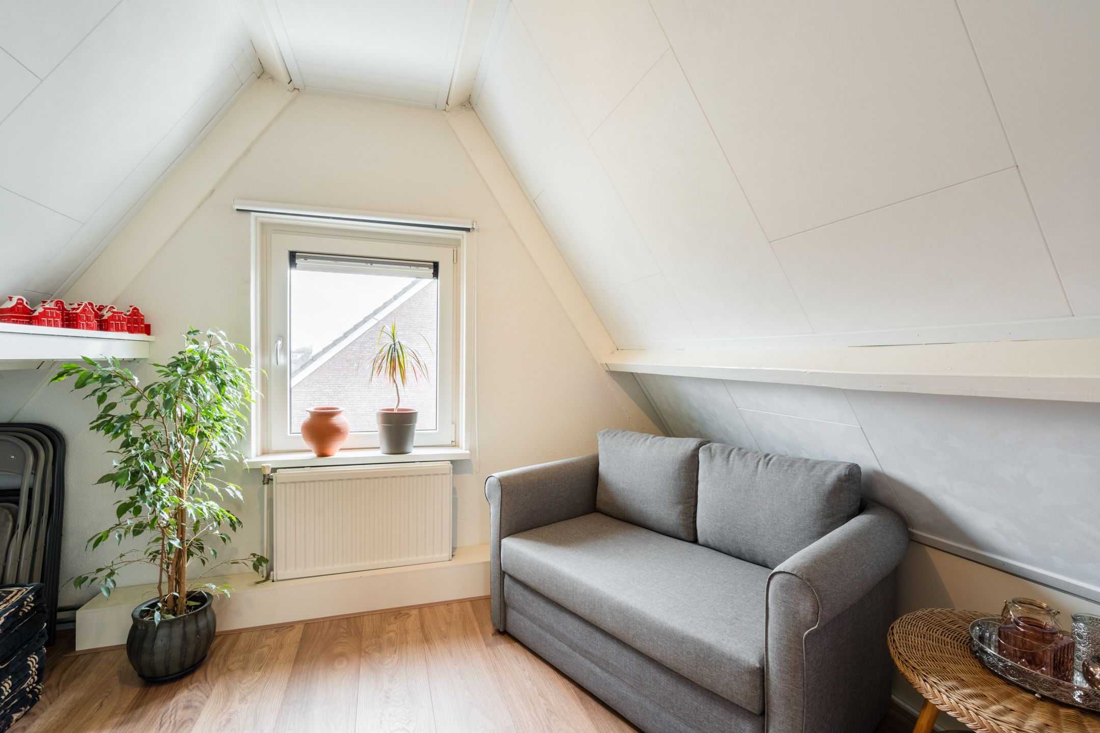 Photo 48 of Zwenkgras 31