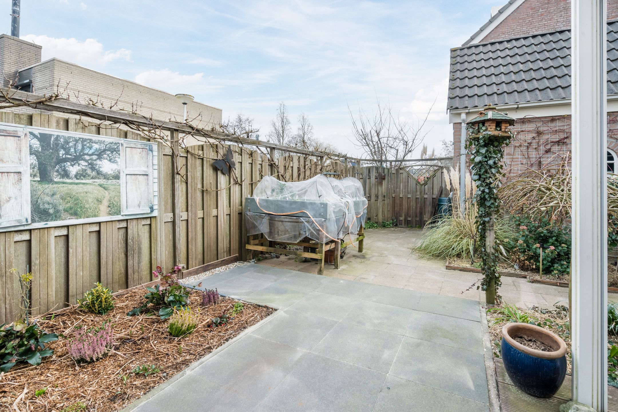 Photo 51 of Zwenkgras 31