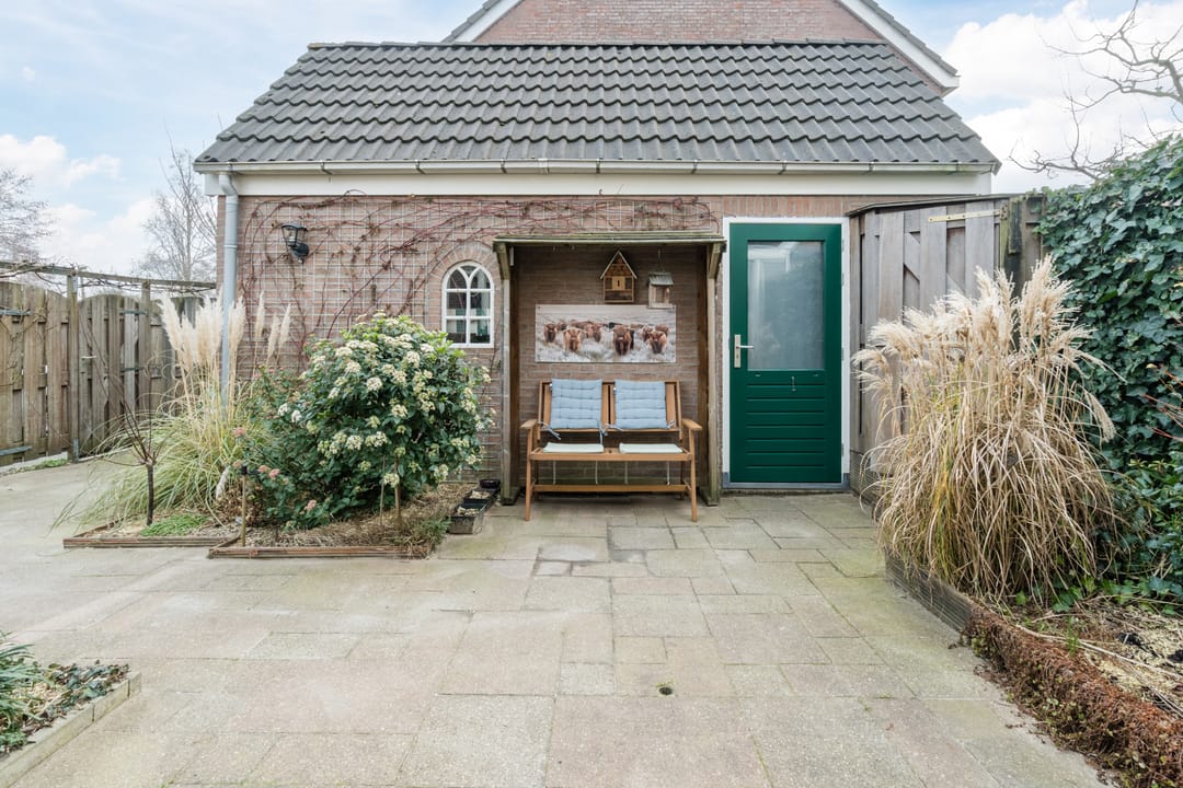 Photo 53 of Zwenkgras 31