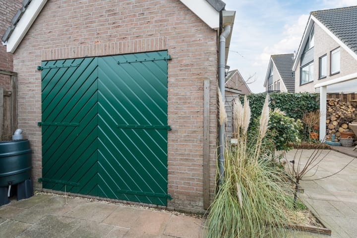 Foto 54 van Zwenkgras 31