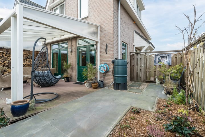 Foto 50 van Zwenkgras 31