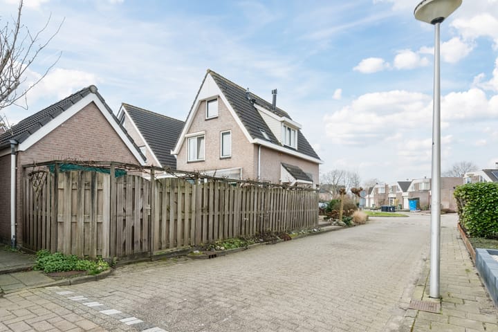 Foto 58 van Zwenkgras 31