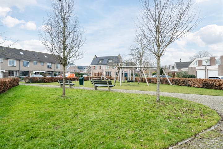 Foto 59 van Zwenkgras 31