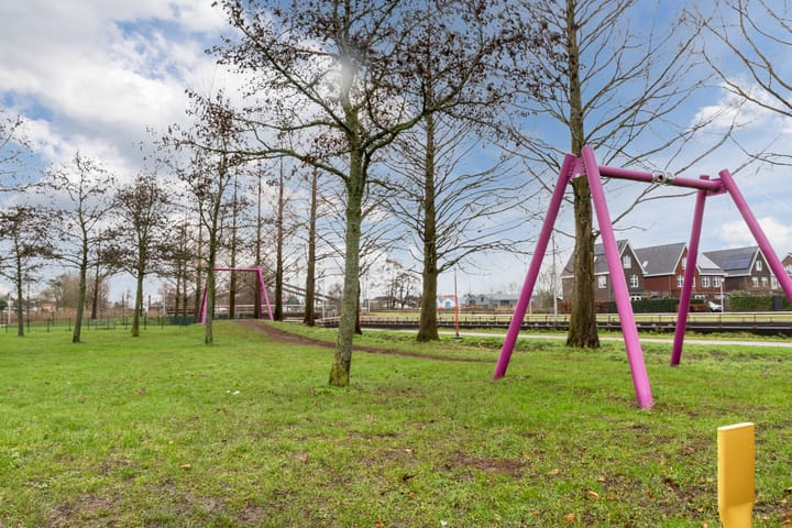 Foto 61 van Zwenkgras 31