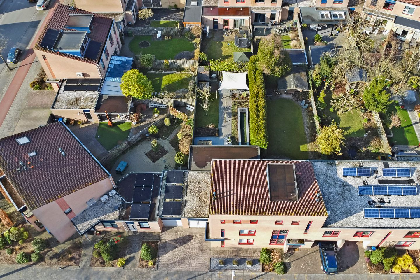 Foto 50 van Wildeman 3