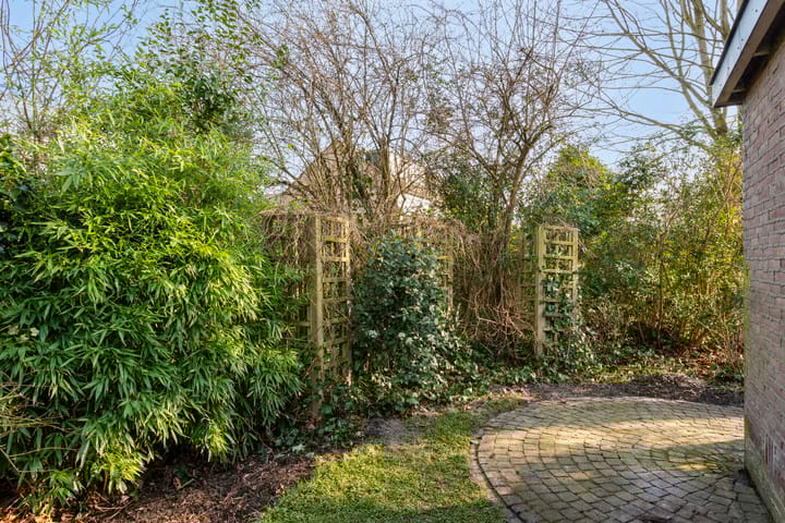 Foto 43 van het Bijltje 11