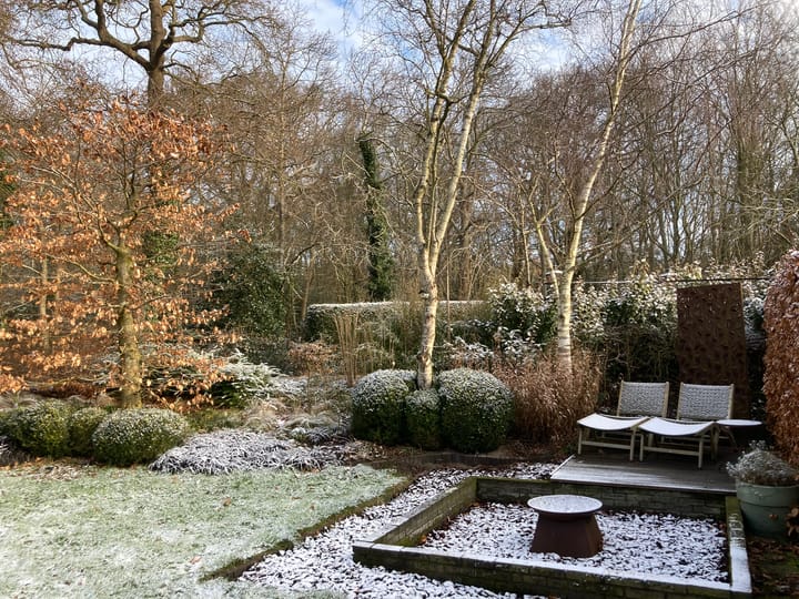 Foto 41 van Berkenrijsweg 6-B