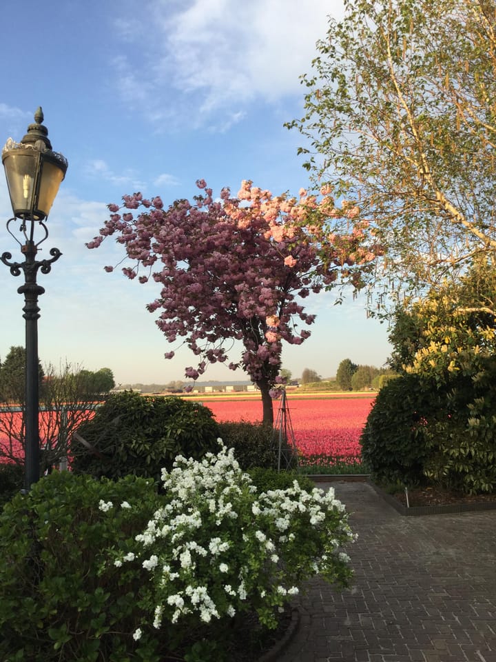 Foto 35 van Bennebroekerdijk 215