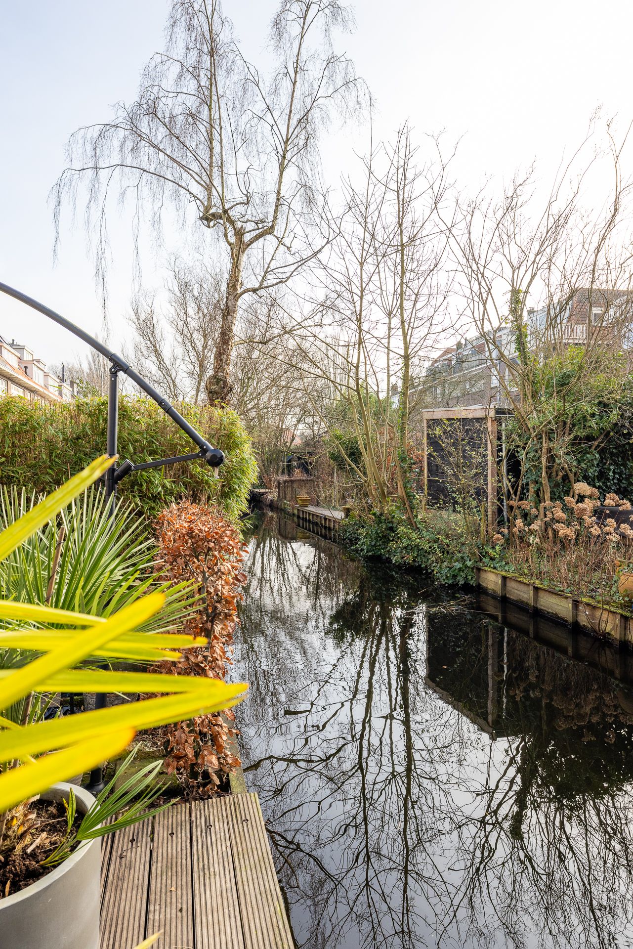 Photo 49 of Willem Nagellaan 35