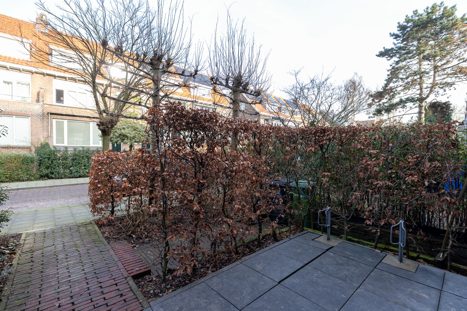 Photo 51 of Willem Nagellaan 35