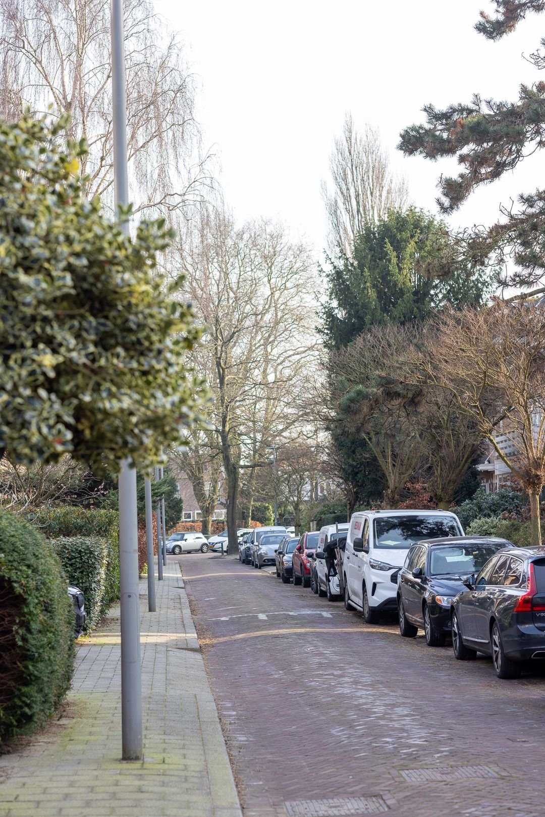 Photo 52 of Willem Nagellaan 35