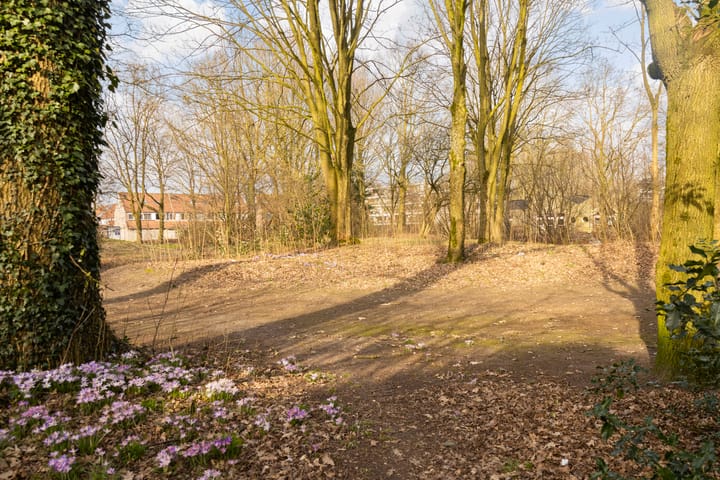 Foto 32 van Vroonhof 6