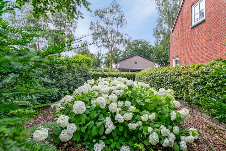 Foto 35 van Buurtweg 158