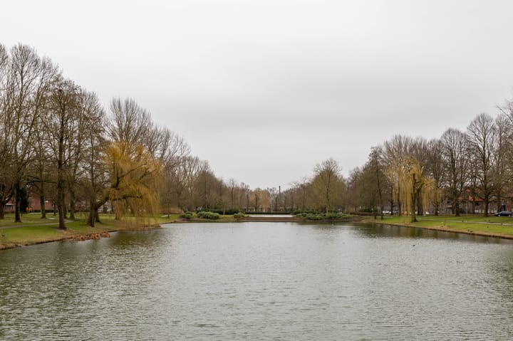 Foto 43 van Hyacinthstraat 255