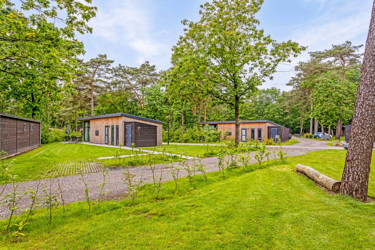 Photo 5 of Patrijslaan 4-611