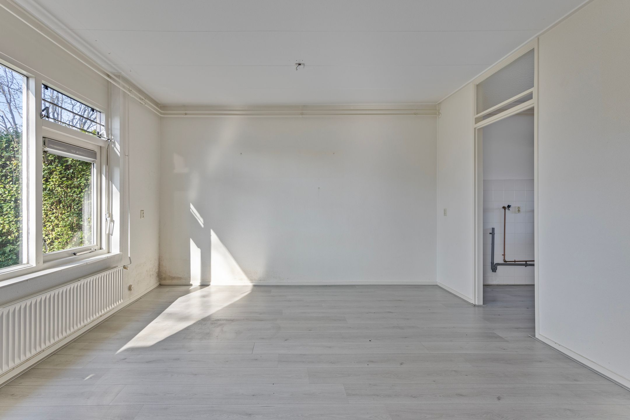 Foto 6 van Wijngaard 37