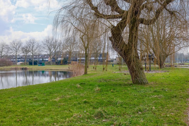 Foto 38 van Edelweisslaan 14