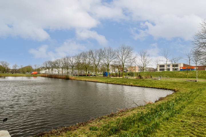 Foto 20 van Bernard Shawsingel 158