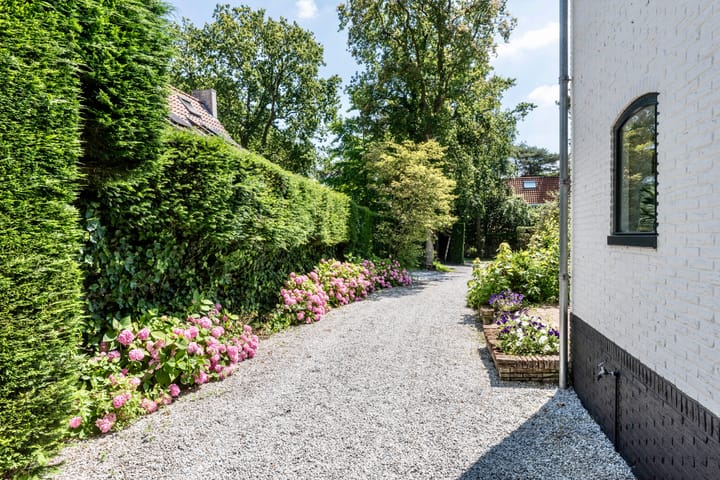 Foto 70 van Duindoornlaan 32