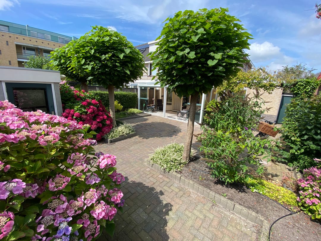 Foto 31 van Van Meerbeekstraat 8