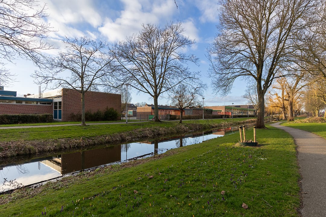 Photo 56 of La Reinelaan 42