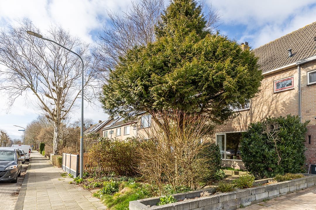 Photo 58 of La Reinelaan 42