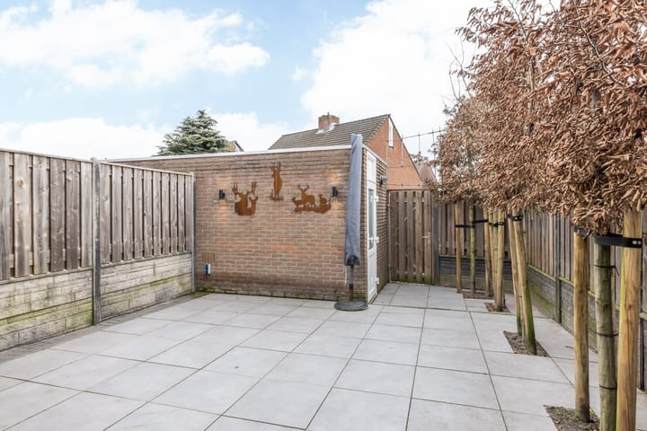 Foto 2 van Zadelmaker 7